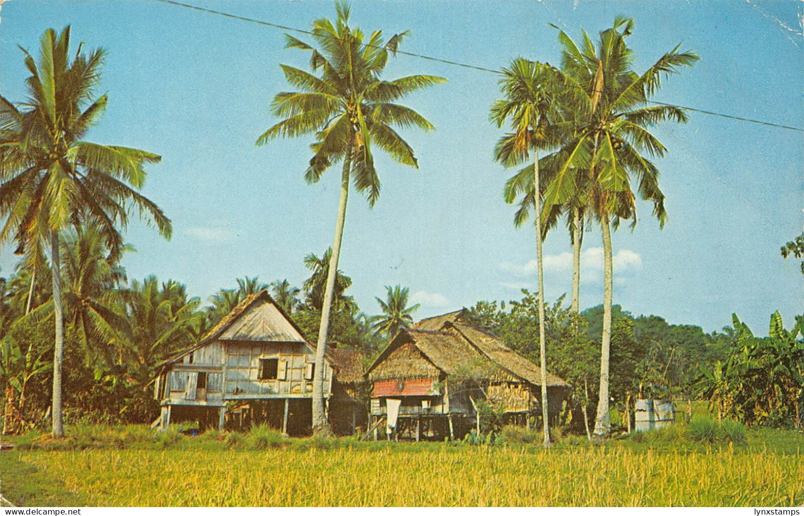 Malaysia Nalay Kampong Houses Penang vintage postcard