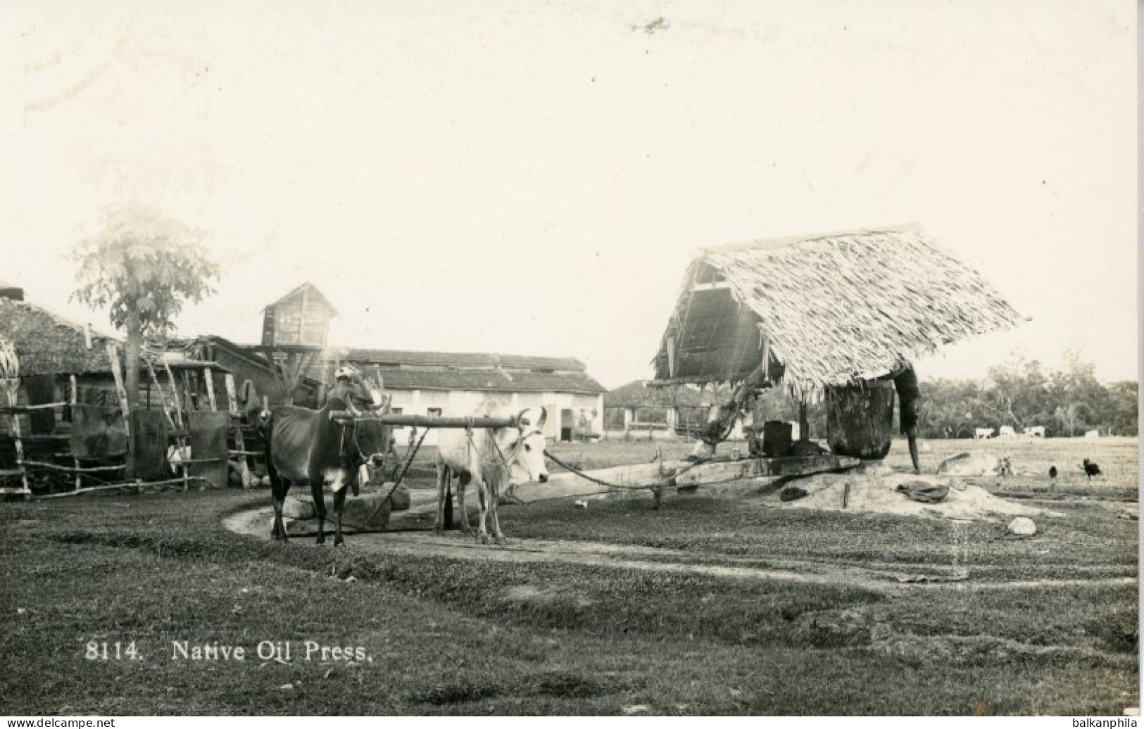 Malaysia Native Oil Press
