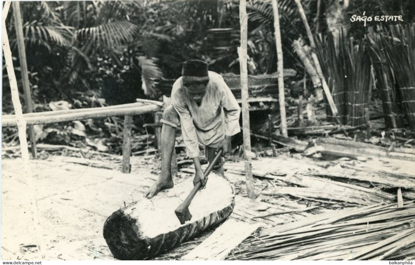 Malaysia Sago Estate worker photocard