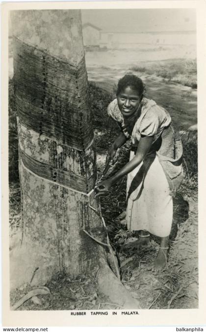 Malaysia Girl Tapping Rubber Malaya
