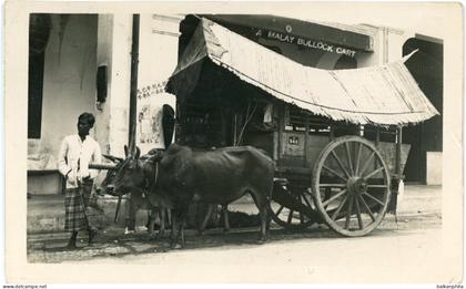 Malaysia Malay Bullock Cart photocard