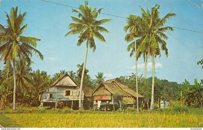 Malaysia Nalay Kampong Houses Penang vintage postcard