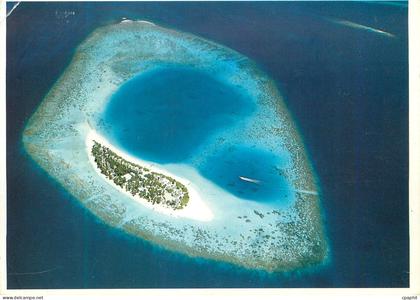 CPM Maldives Nacatcha