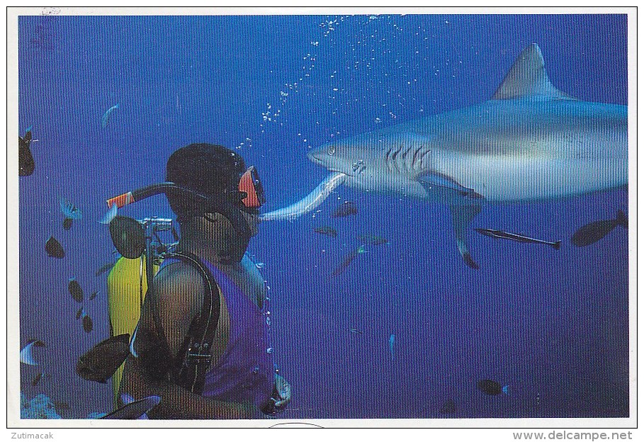 Maldives - Diving - Shark feeding 1988 stamp