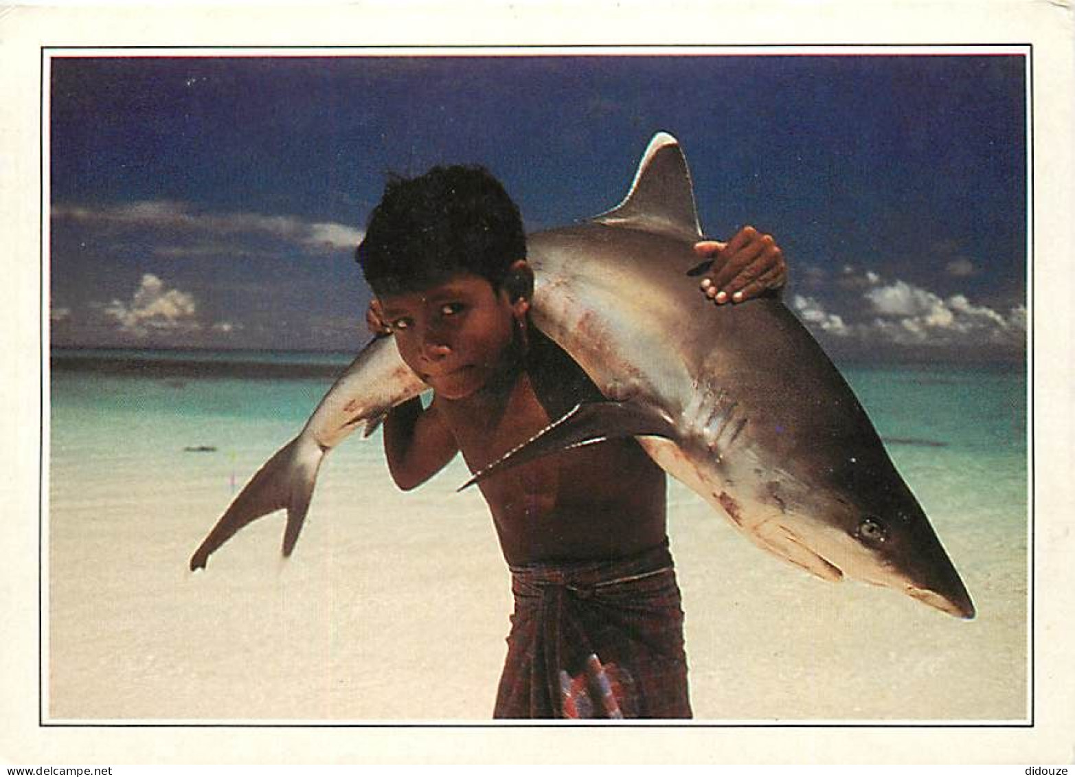 Maldives - White-tipped shork camed by a young child - Les eaux transparentes de l'Océan Indien sont, aux Maldives, caos