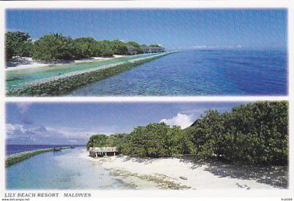 AK 271232 MALDIVES - Lily Beach Resort