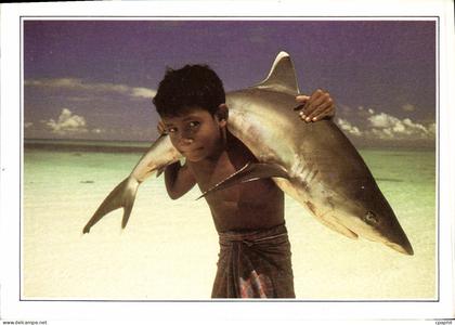CPM Maldives Islands Maldives Requin a pointe blanche