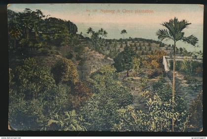NUTMEG & CLOVE PLANTATION