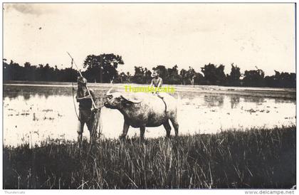 RPPC REAL PHOTO POSTCARD MALAYSIA MALEISIE CARTE DE PHOTO