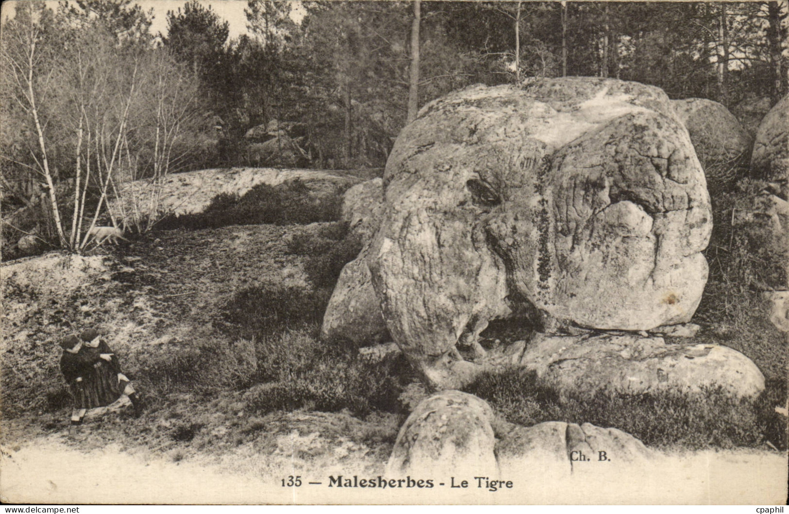Malesherbes CPA le tigre (iger)