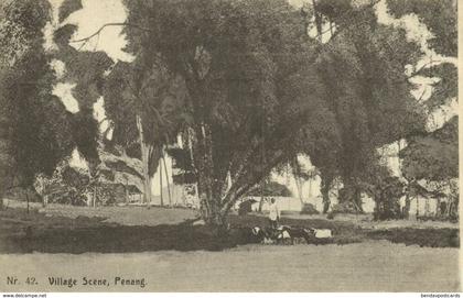 malay malaysia, PENANG, Village Scene (1910s) Postcard