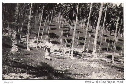 MALAYA COCOANUT ESTATE (CARTE PHOTO AVEC PLANTATION ET PETITE ANIMATION)