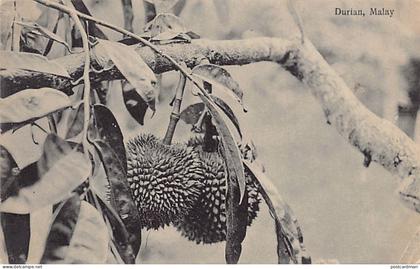 Malaysia - Durian - Publ. unknown S.69