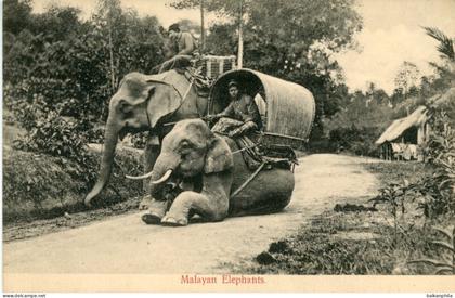 Malaysia Malayan Elephants at work