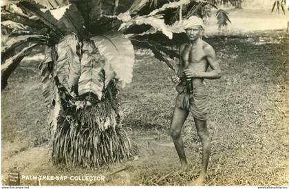 Malaysia Palm Tree Sap Collector photocard