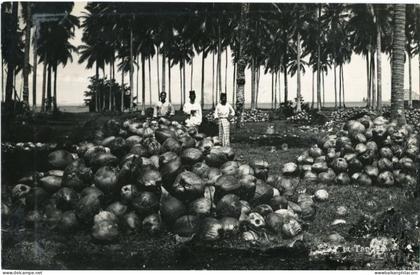 Malaysia Palm Tree Tapping photocard