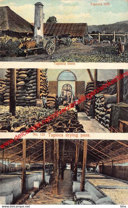 Tapioca mill - Malaysia