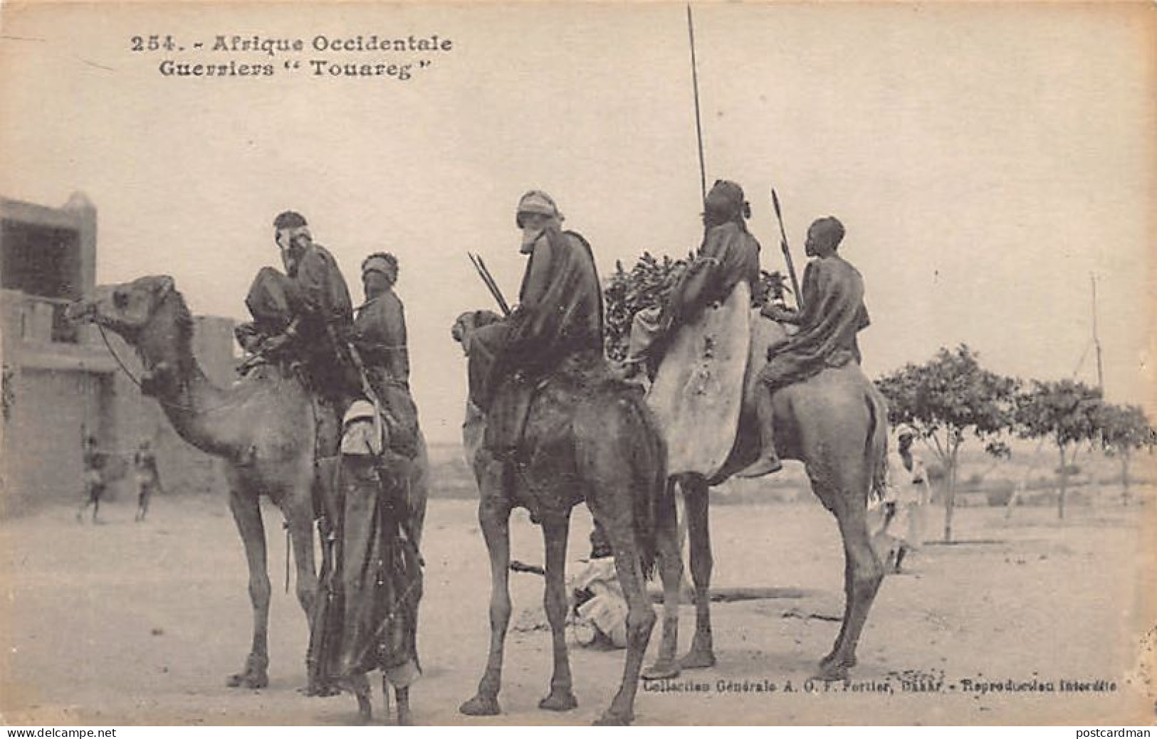Mali - Guerriers touaregs - Ed. Fortier 254