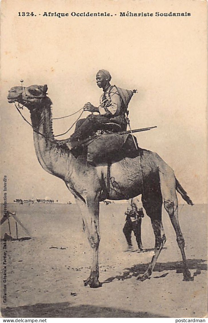 Mali - Méhariste soudanais - Ed. Fortier 1324