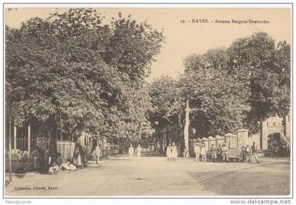 CPA MALI - KAYES - AVENUE BORNIS-DESBORDES