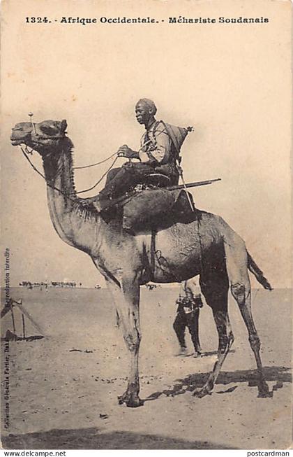 Mali - Méhariste soudanais - Ed. Fortier 1324