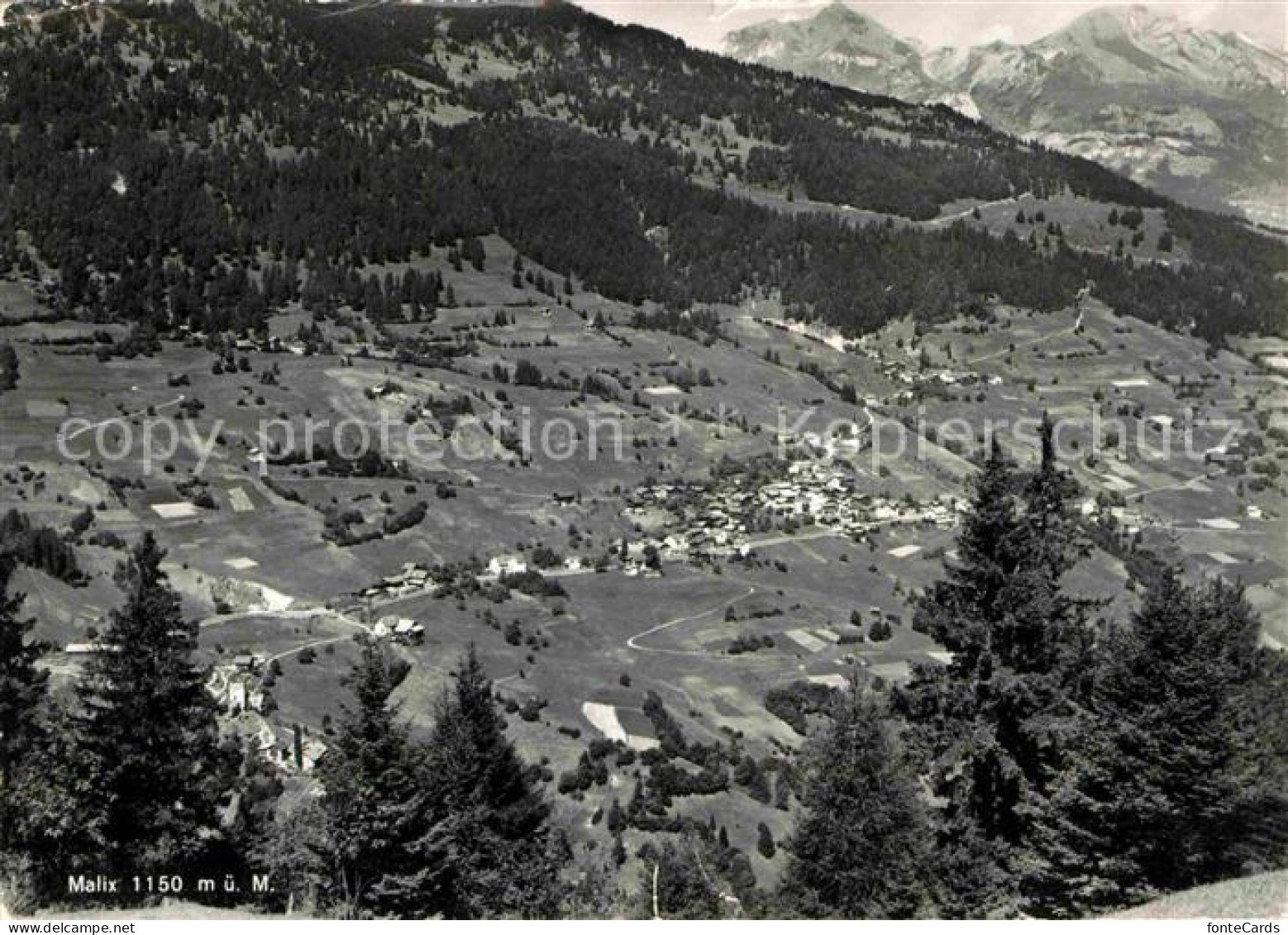 Malix Panorama Blick ins Tal Alpen