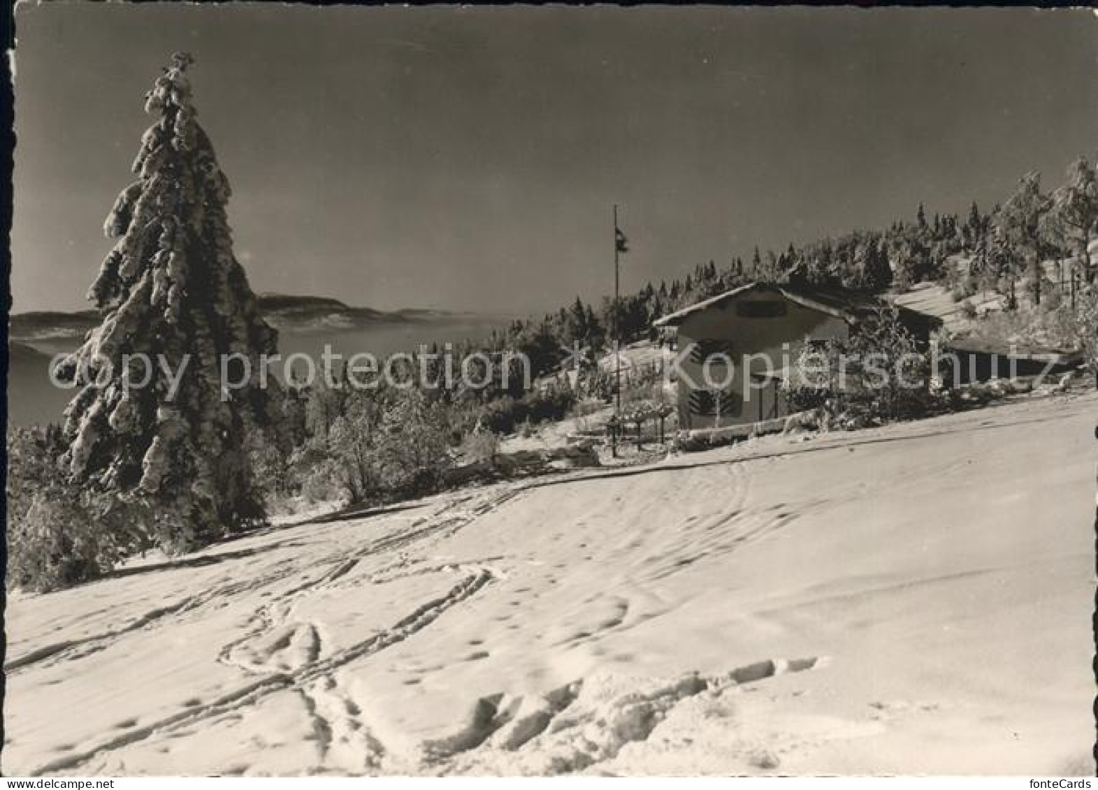 Malleray Moronhaus SAC Basel