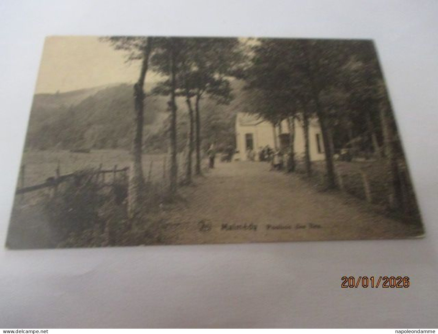 Malmedy, Pouhon des Iles