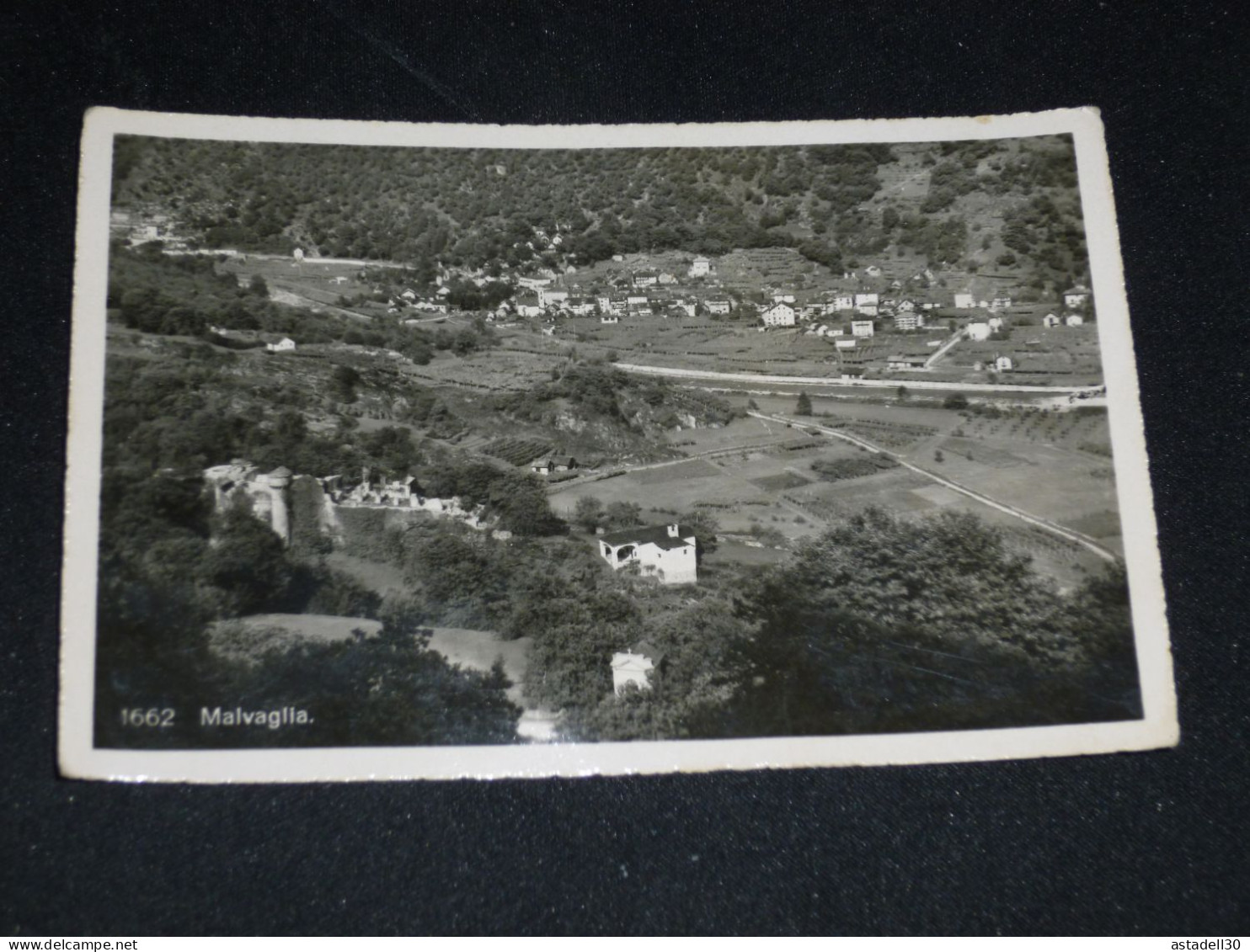 MALVAGLIA  .............. 26734