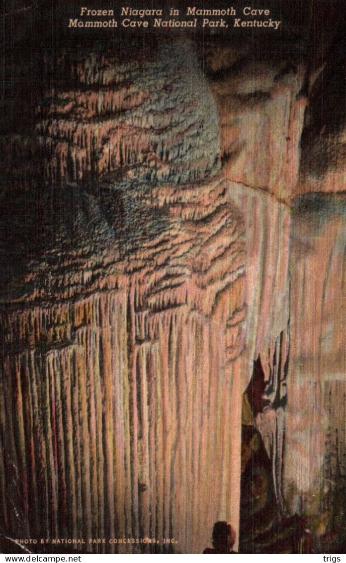 Mammoth Cave (National Park) - Frozen Niagara in Mammoth Cave