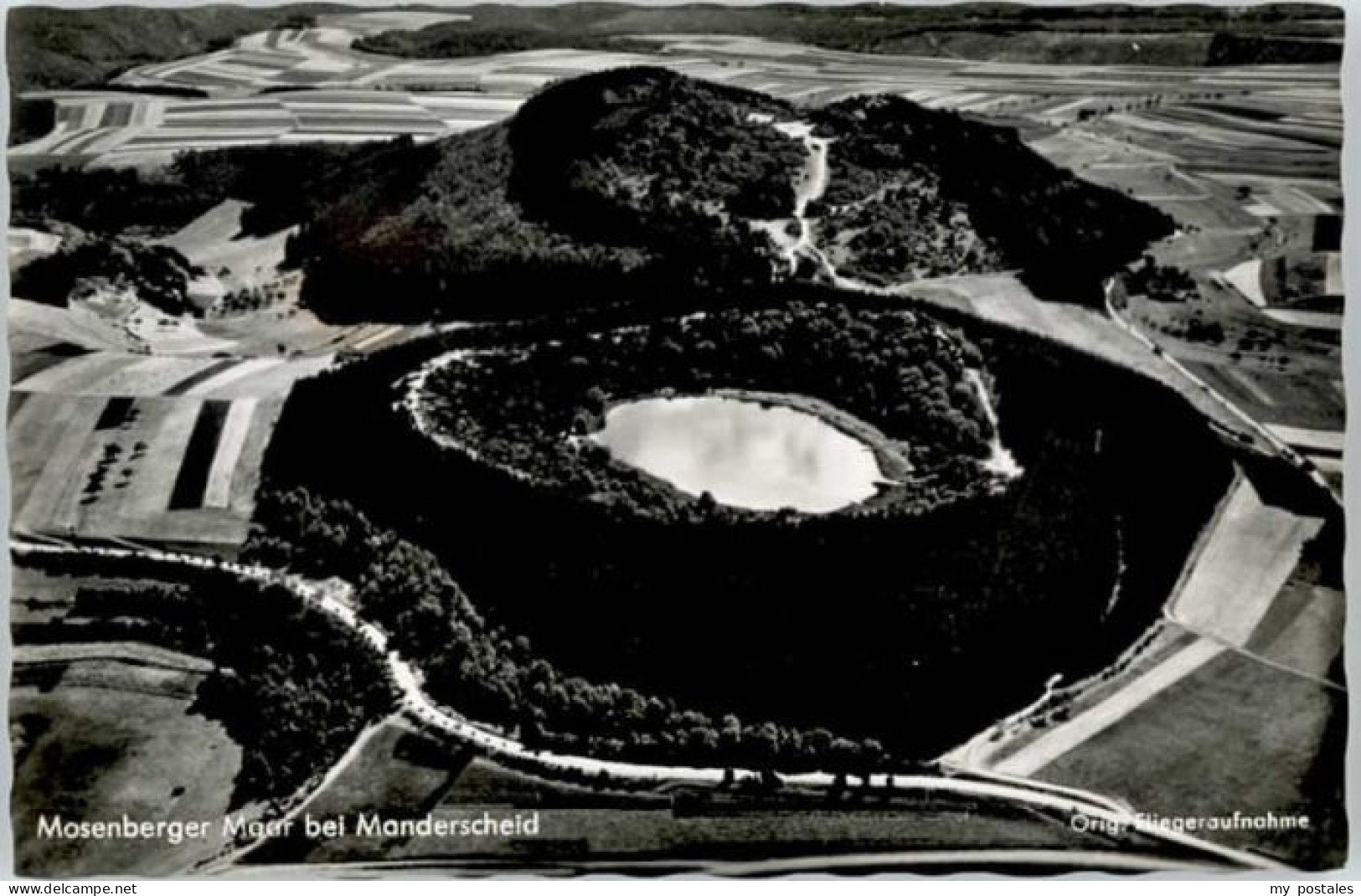 Manderscheid Eifel Manderscheid Mosenberger Maar Fliegeraufnahme