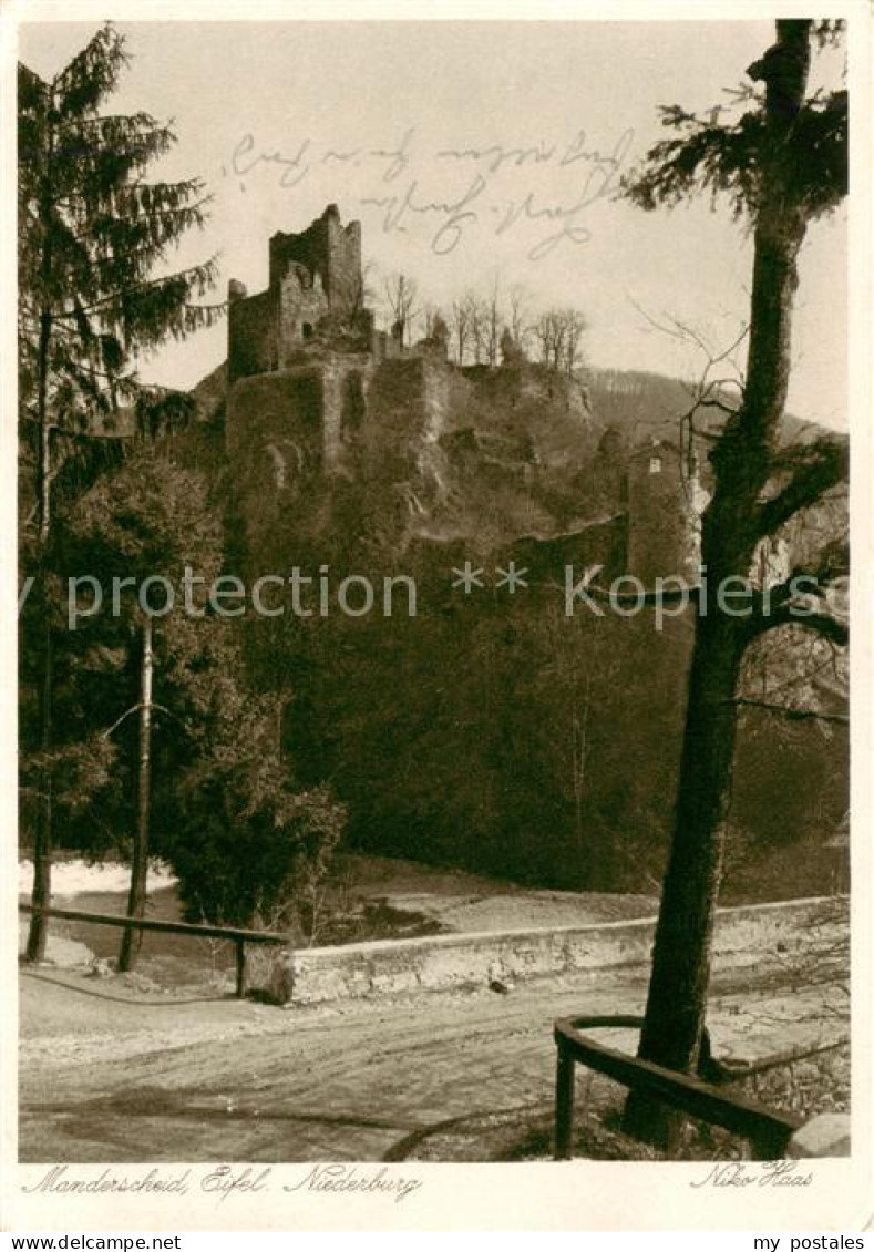 Manderscheid Eifel Niederburg