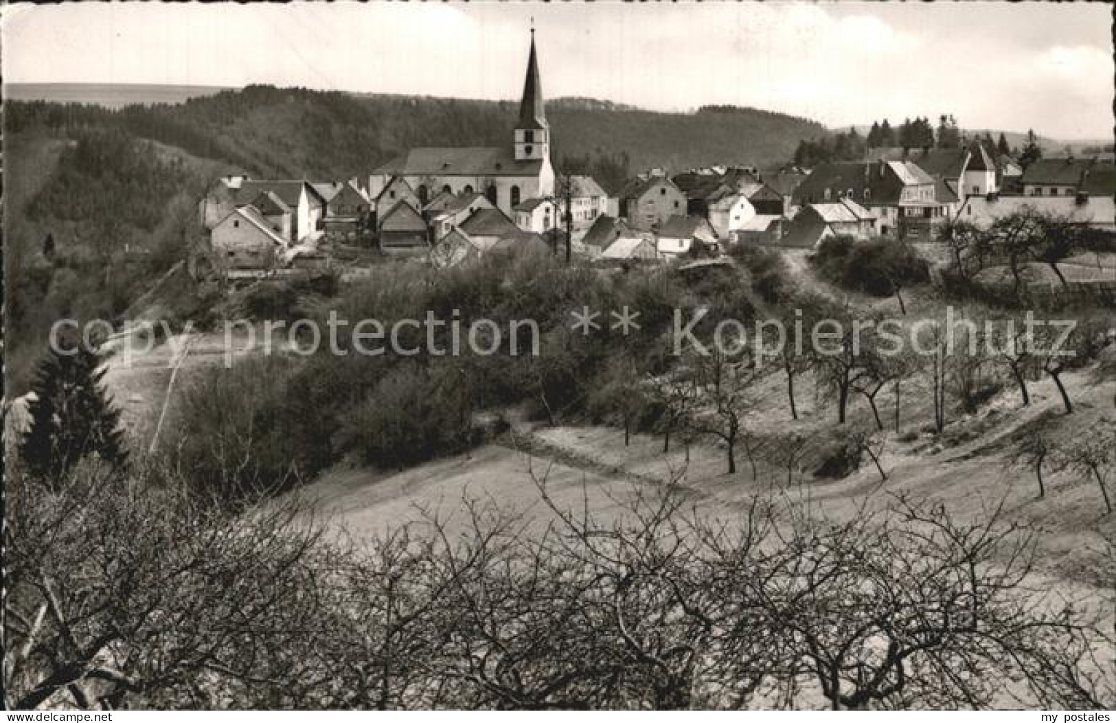 Manderscheid Eifel Ortsansicht