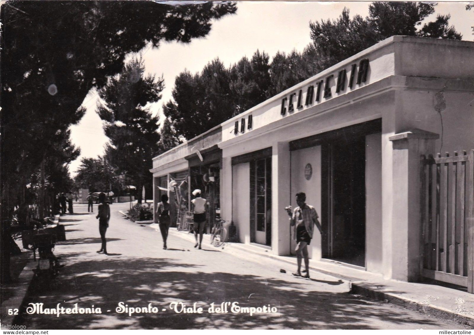 # MANFREDONIA - SIPONTO: VIALE DELL'EMPORIO