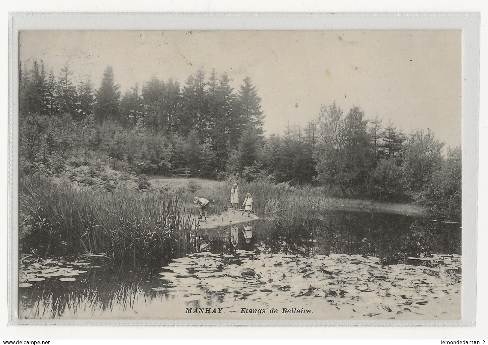 Manhay. Etangs de Bellaire. *