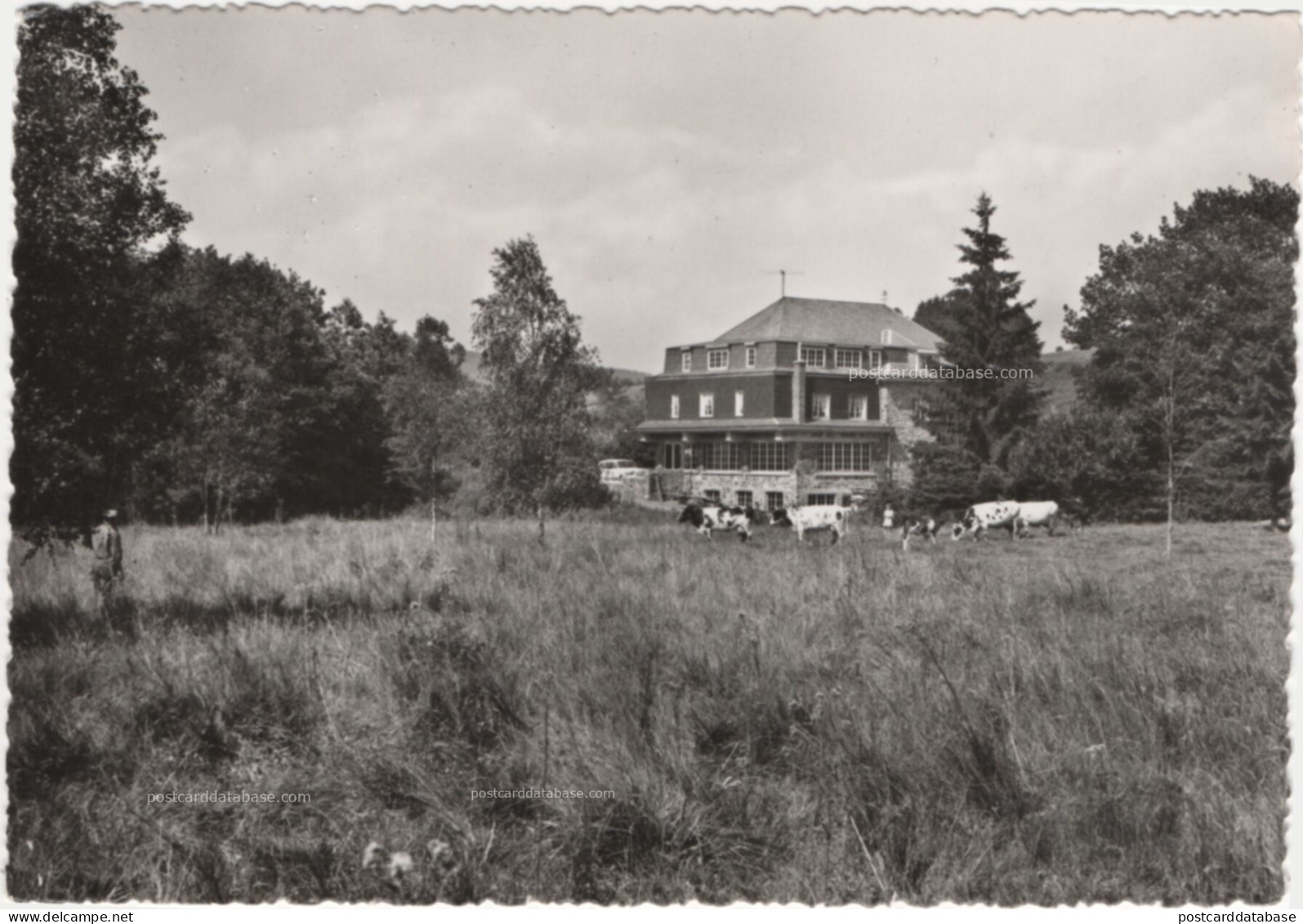 Manhay - Hôtel des Sources - & hotel