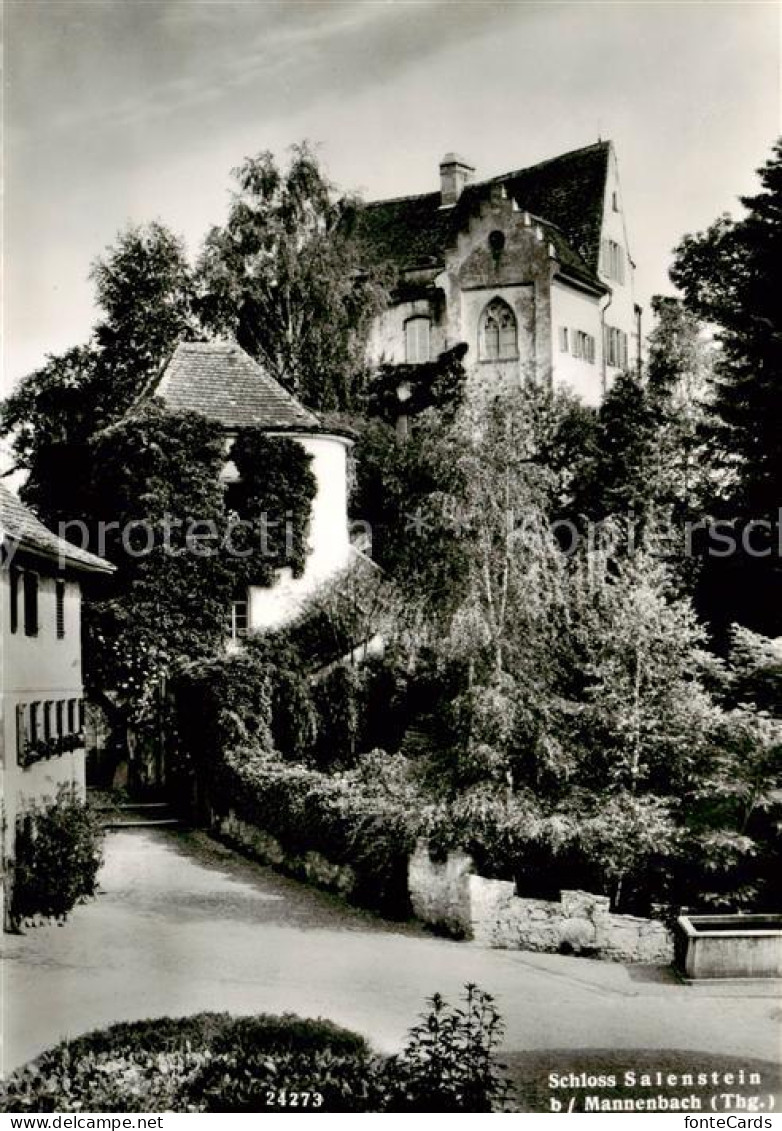 Mannenbach-Salenstein TG Schloss Salenstein