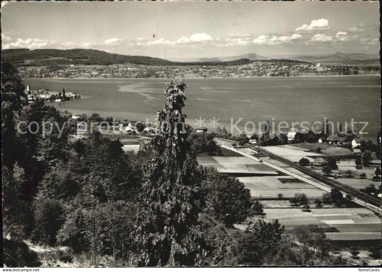 Mannenbach Untersee Berlingen