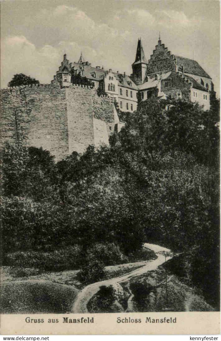 Mansfeld, Schloss Mansfeld