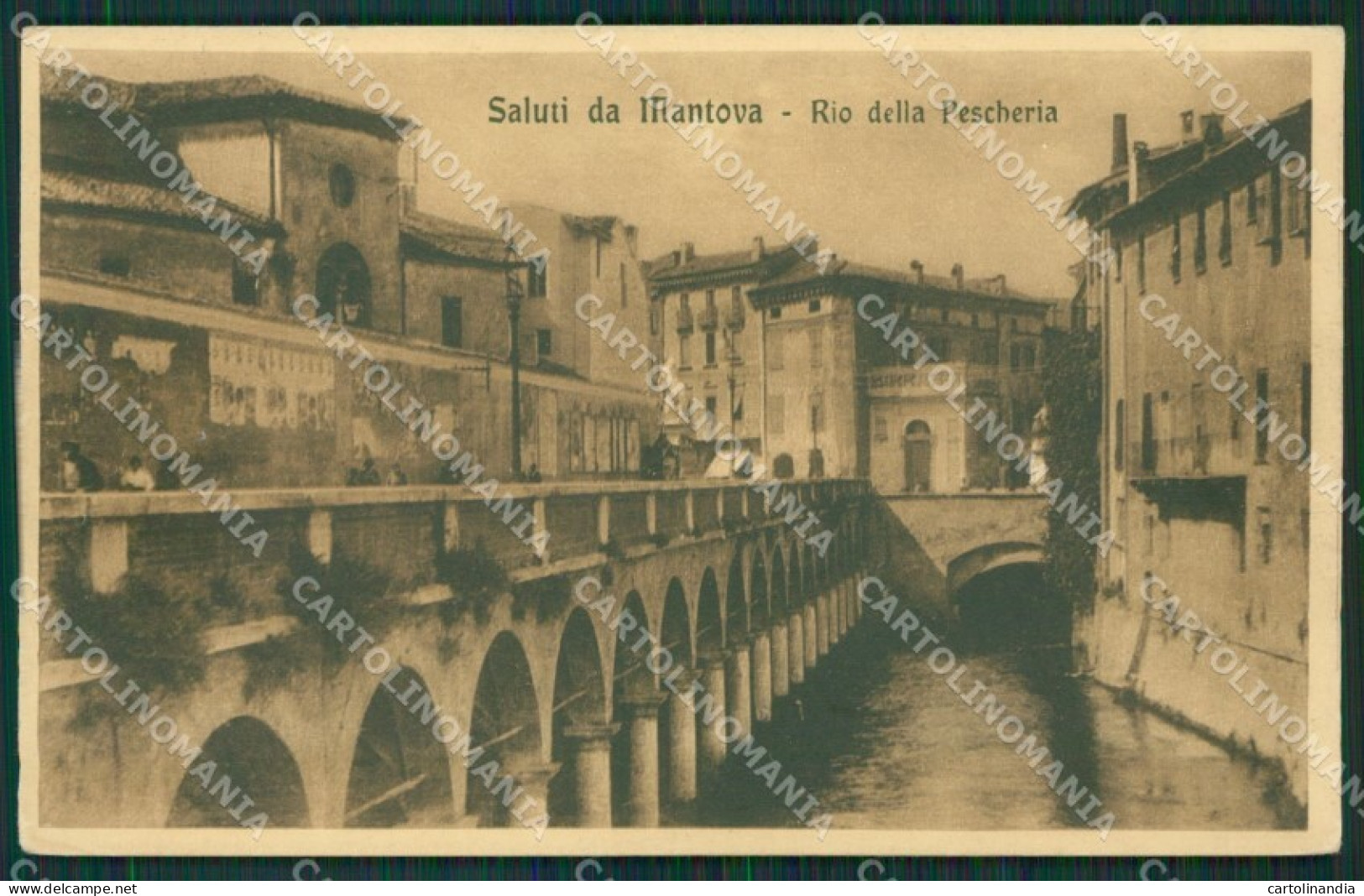 Mantova Città cartolina KV5742