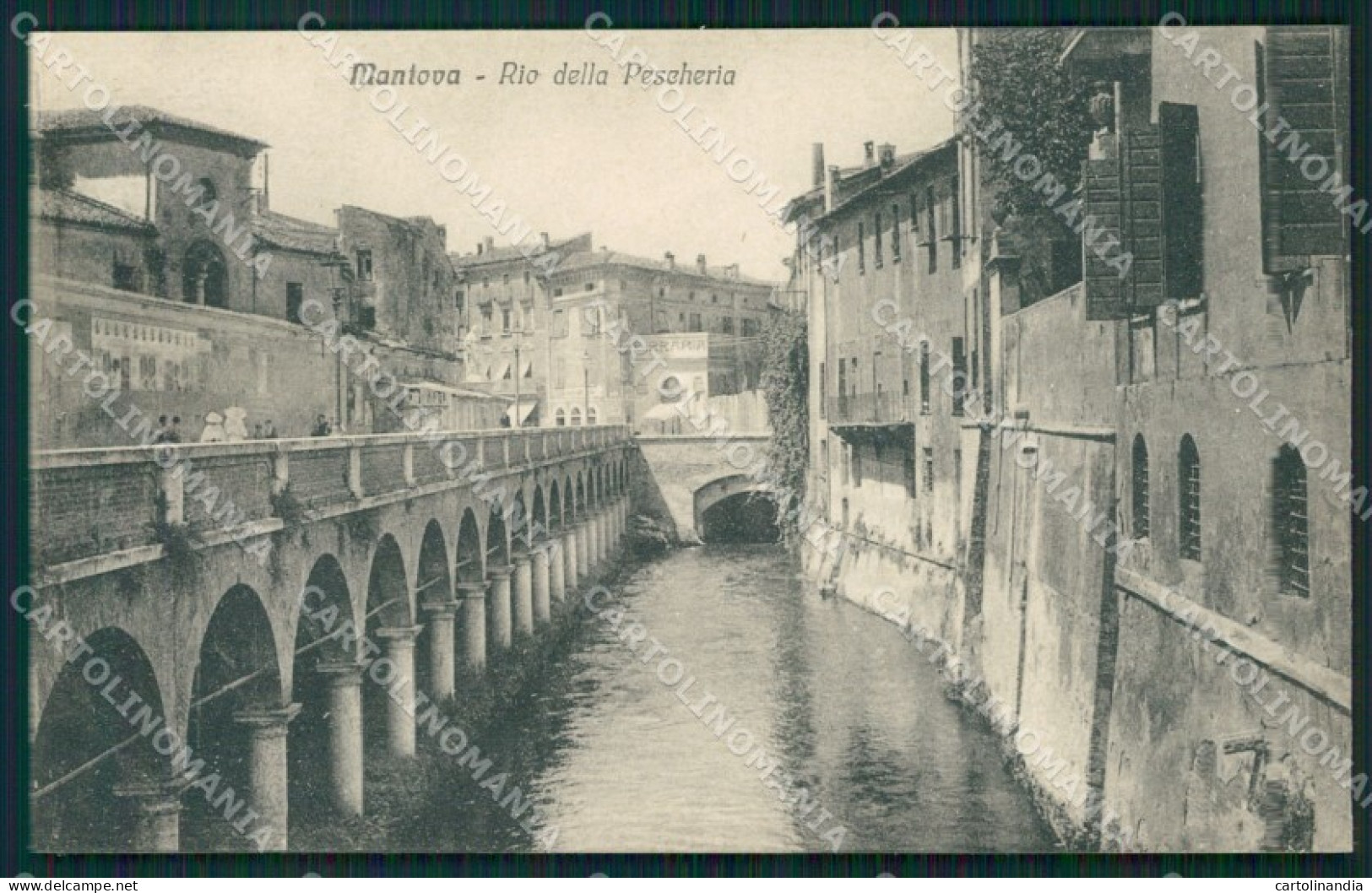 Mantova Città cartolina QT0551