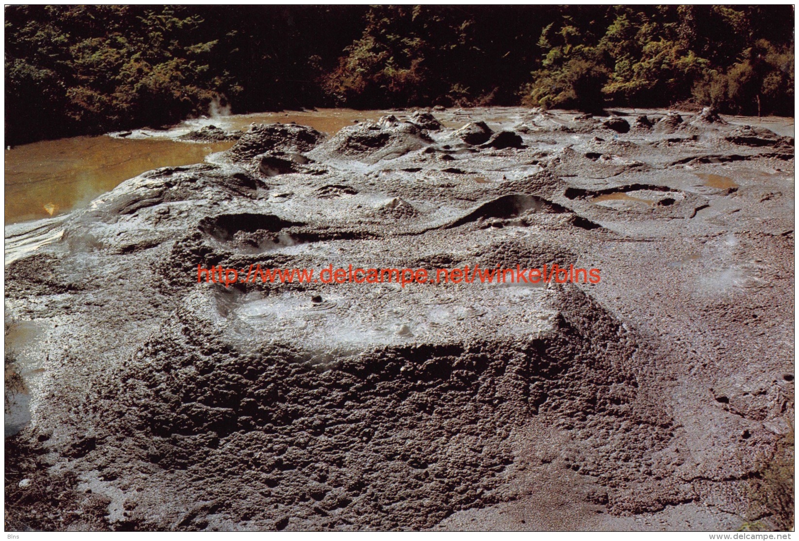 Maori Arts &amp; Crafts Institute - Whakarewarewa