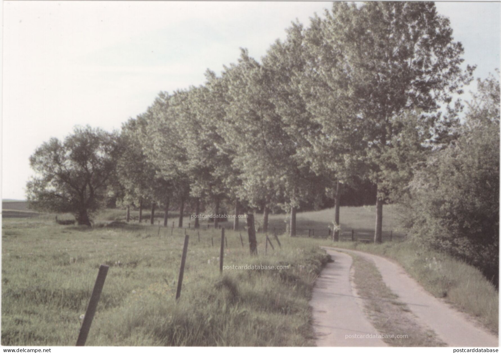 Marche des Chouans sur Jodoigne - Tronçon