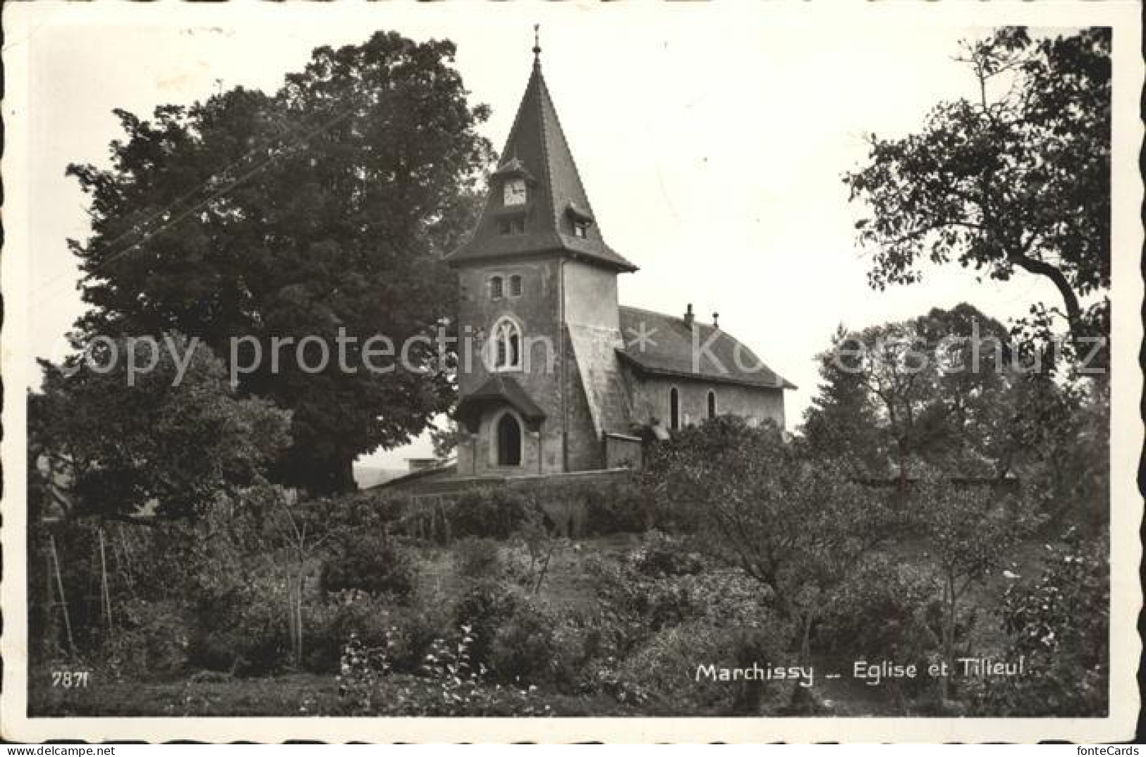 Marchissy Eglise et Tilleul