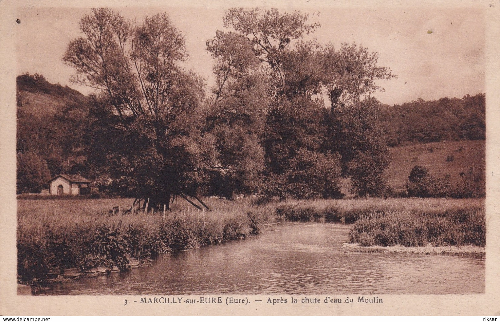 MARCILLY SUR EURE(ARBRE)