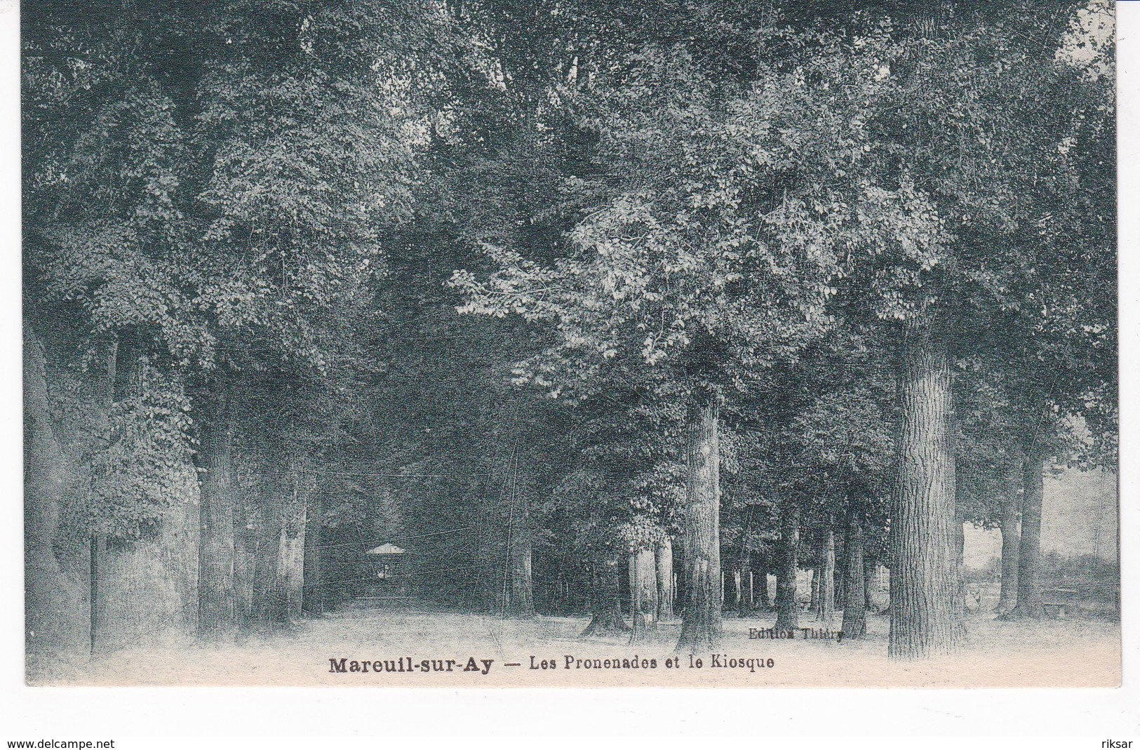 MAREUIL SUR AY(ARBRE)