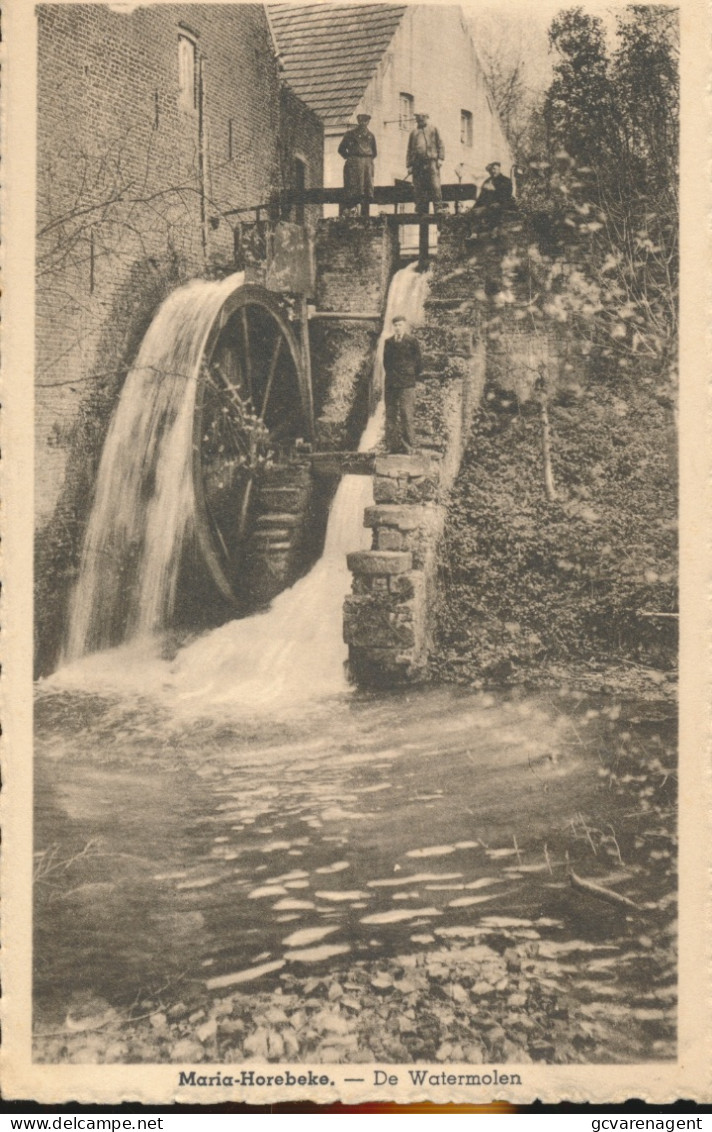 MARIA HOREBEKE         DE WATERMOLEN