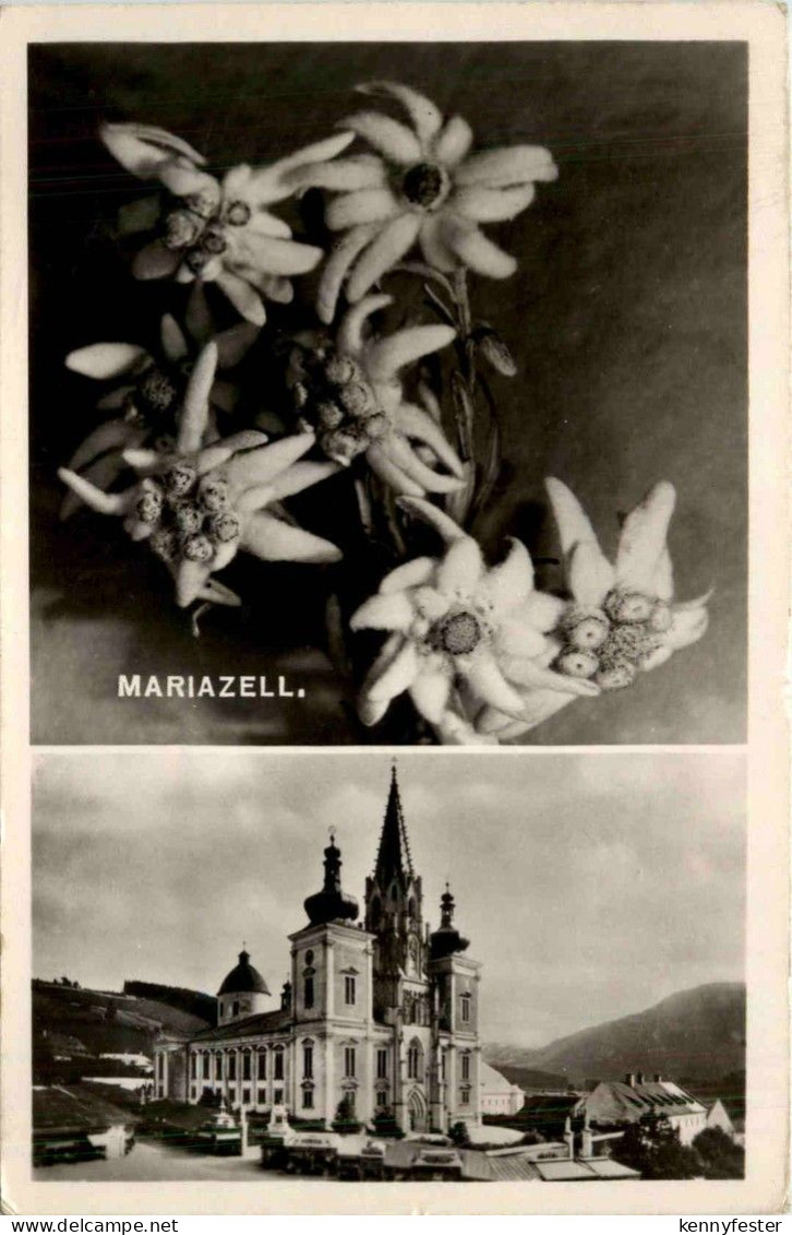 Mariazell/Steiermark - Mariazell,