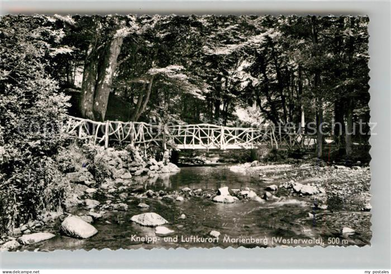 Marienberg Westerwald Bruecke im Wald