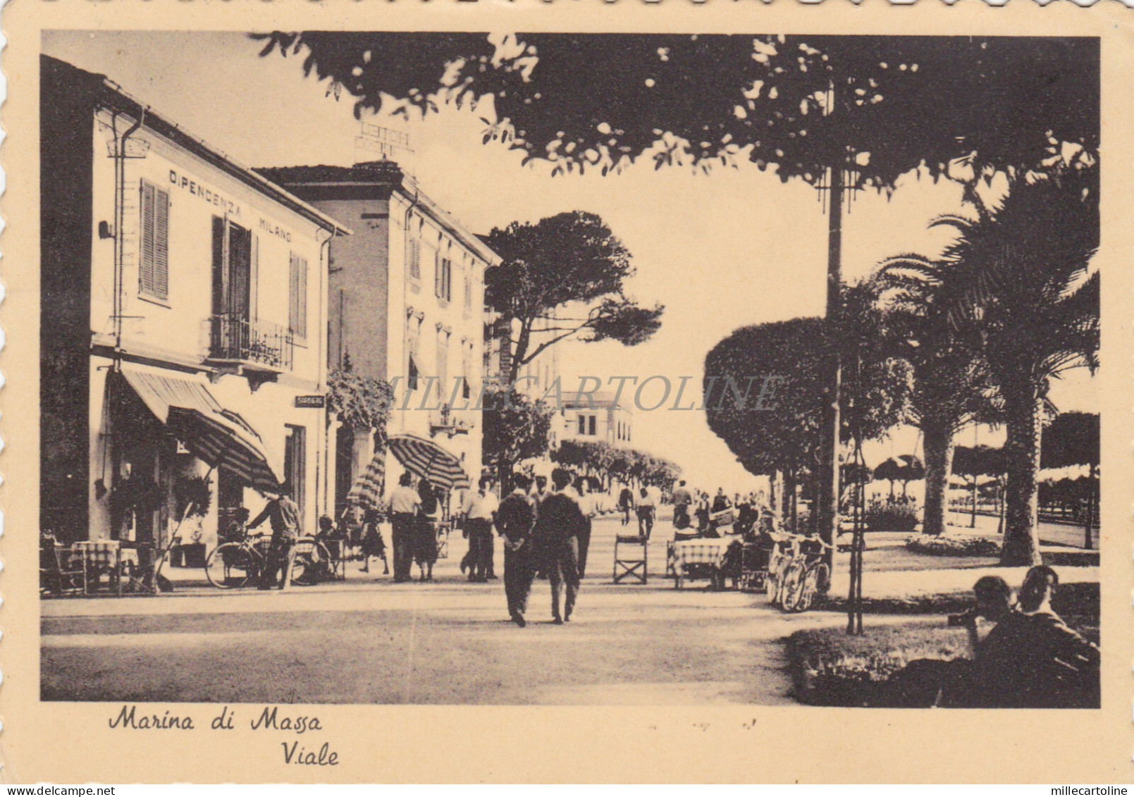 MARINA DI MASSA - Viale